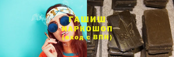 a pvp Магас