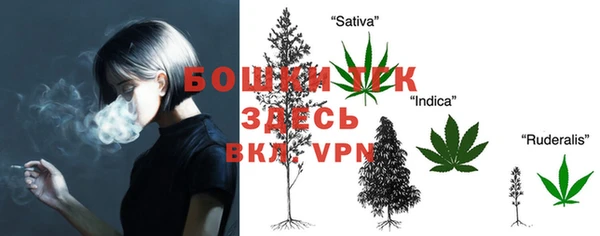 крисы Магадан