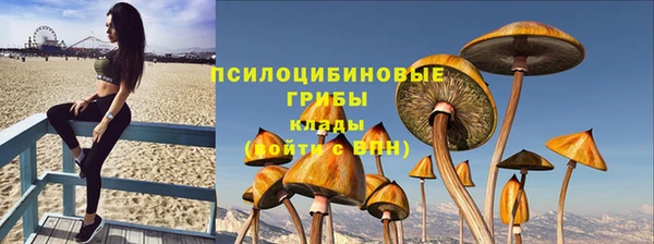 каннабис Майский