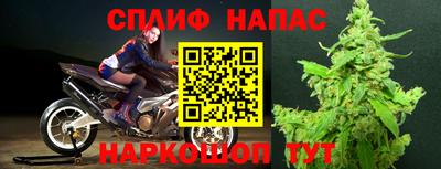 шишки Беслан