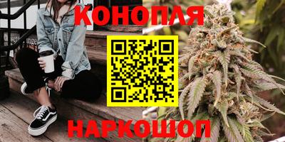 шишки Беслан