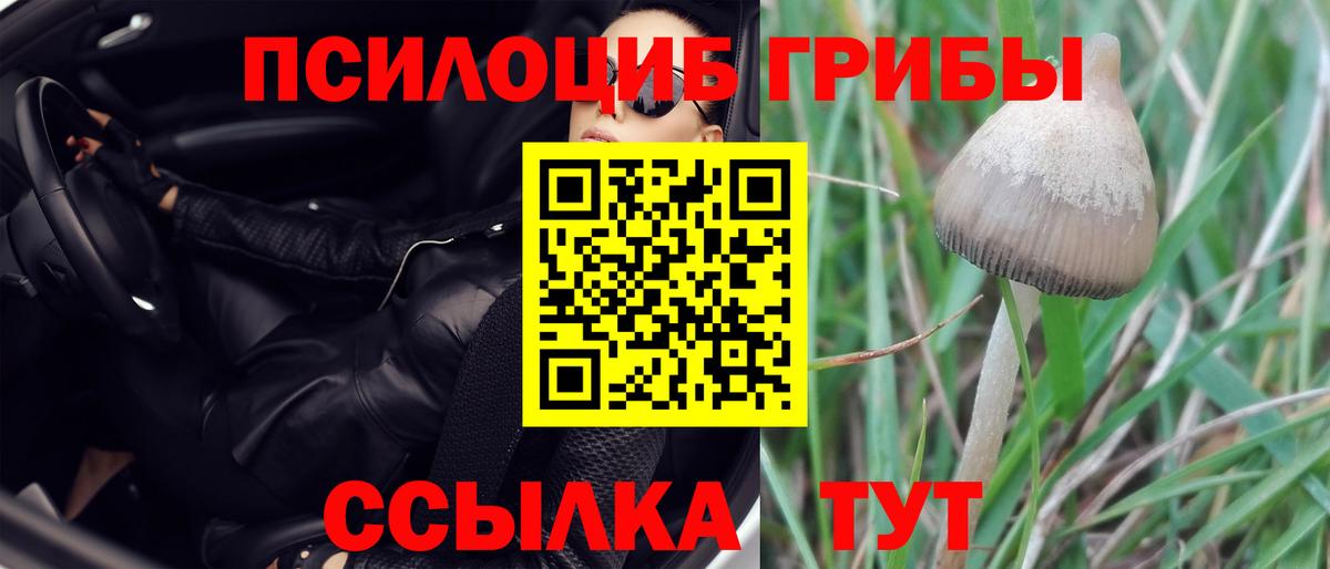 Псилоцибиновые грибы MAGIC MUSHROOMS Нижнеудинск