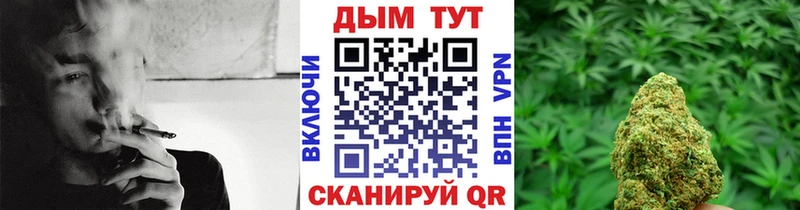где купить наркоту  Нижнеудинск  МАРИХУАНА конопля 